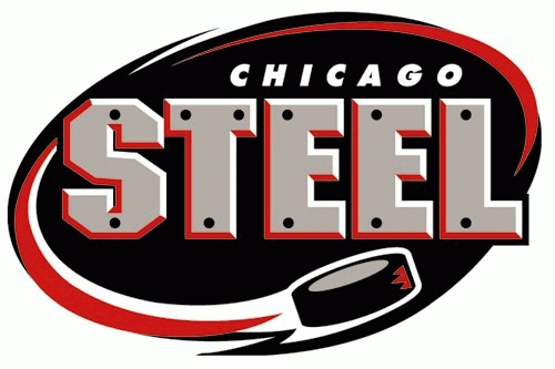 chicago steel 2000-pres primary logo iron on transfers for clothing